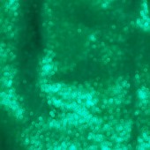 met-1 - Emerald Sheen  ()