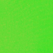 lycra-1 - Bright Green  ()