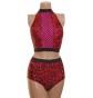 POLE DYNAMIX RED LEOPARD PRINT LINED SET