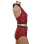 POLE DYNAMIX RED LEOPARD PRINT LINED SET