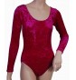 Keely Long Sleeved Dance Leotard Velvet