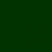 velvet/lycra-1 - Dark Green Top/Dark Green Bottom  ()