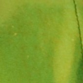 met-1 - flo green sheen  ()