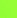lycra-1 - Flo Green  ()